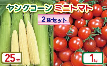 ヤングコーン 25本 ミニトマト (2種) セット 約 1kg 品種おまかせ とまと トマト ミニトマト みにとまと 完熟 期間限定 プチ プチトマト 野菜 サラダ お弁当 産地直送 新鮮 国産 千葉県産 おまかせ お楽しみ 詰め合わせ 千葉県 旭市 Sai10faRM