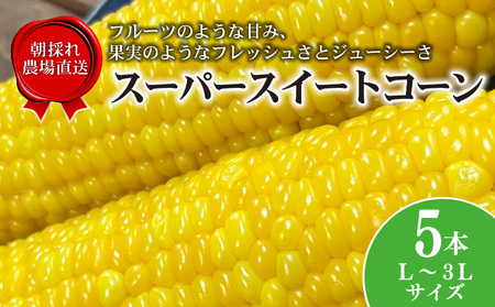 朝採れ とうもろこし 5本 [トウモロコシ]