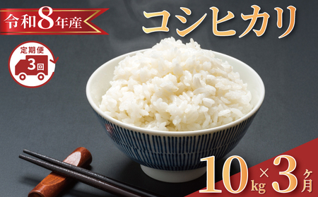 y 2026 NzS3񔭑   Œ茎  ߘa8NY RVqJ v30kg y RVqJ z