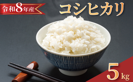 y 2026N8 z ߘa8NY V  RVqJ 5kg y RVqJ z