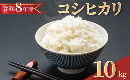 y 2026N8 z ߘa8NY V  RVqJ 10kg y RVqJ z