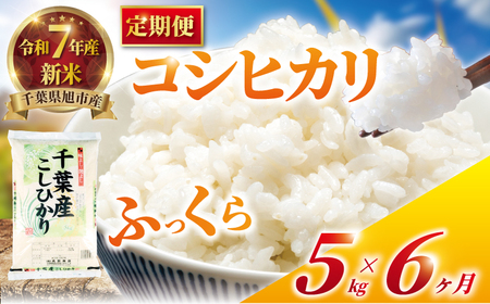 【6回定期便】令和7年産新米 コシヒカリ 5kg 定期便 精米 白米