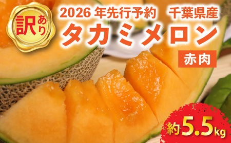 �y 2026�N ��s�\�� �z �󂠂� �^�J�~ ������ ��5.5kg �ԓ��y ������ �z