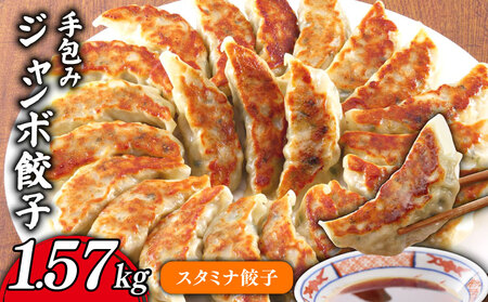 手包み ジャンボ スタミナ 餃子 45個 冷凍 [ 餃子 ]