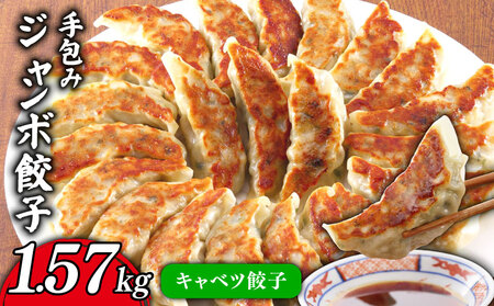 手包み ジャンボ キャベツ 餃子 45個 冷凍 [ 餃子 ]