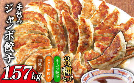 肉餃子 手包み ジャンボ 餃子 3種セット 肉餃子 スタミナ餃子 キャベツ餃子45個 冷凍 [ 餃子 ]