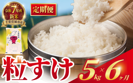 �y6�����ցz�ߘa7�N�Y�V�� ������ 5kg ����� ���� ����