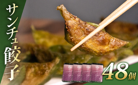 サンチュ餃子 48個 餃子