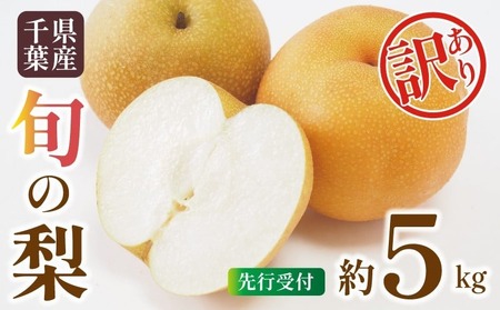 �y2026�N��s�\��z ��t���Y �� �󂠂� �{�̗� �� 5kg 7�ʁ`14�� �y �� �z