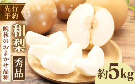 [2026年先行予約] 和梨 品種おまかせ 約 5kg