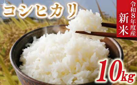 新米 白米 令和8年産 「コシヒカリ」 10kg 先行予約 小島農園