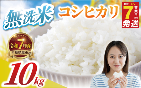 【無洗米】千葉県産コシヒカリ 10kg（5kg×2） 無洗
