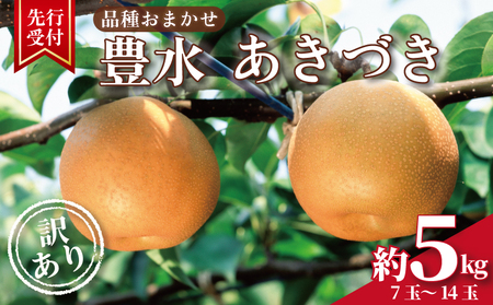 [2026年先行予約] 梨 約 5kg ( 7玉 ~ 14玉 ) [9月上旬頃〜発送] 豊水 あきづき 品種おまかせ