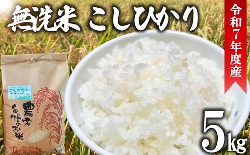 ＼最短7営業日以内発送/ 令和7年度産 無洗米 こしひかり 5kg [ コシヒカリ ]