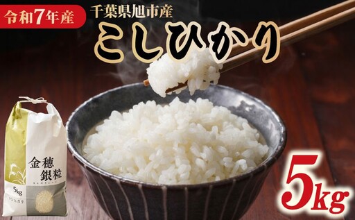 コシヒカリ 精米 5kg [ コシヒカリ ]