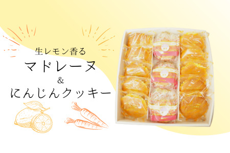 にんじんケーキの返礼品 検索結果 | ふるさと納税サイト「ふるなび」