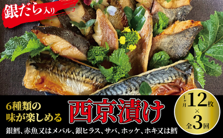 [定期便]ミックス盛・Jr 3か月