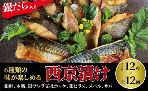 【定期便】ミックス盛・Jr　12か月