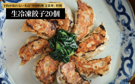 文菜華 ノンメタポーク100%使用の生冷凍餃子20個 [ 冷凍 餃子 冷凍食品 冷凍餃子 豚肉 ごはん 白米 中華 美味しい 人気 文菜華 ]