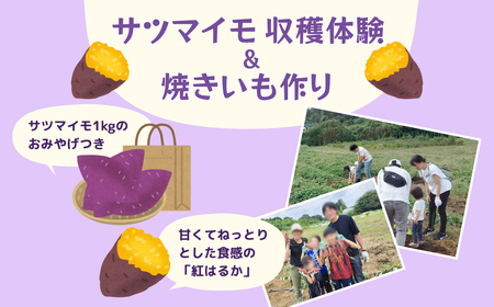 Tc}CňĂi1g5܂Łj q {̖؂̎ň H ň _Ƒ̌ ̌ n  q eq W[ ό _앨 ӂ邳Ɣ[  r