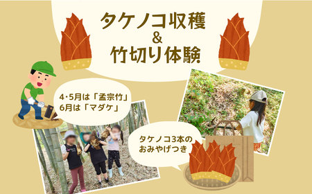 �^�P�m�R���n���|�؂�̌��i1�g5���܂Łj �q �{�̖�؂̎��n�̌� �H�� ���n�̌� �_�Ƒ̌� �̌� ���n ��� �q�� �e�q ���W���[ �ό� �_�앨 �ӂ邳�Ɣ[�� �� �r