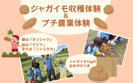 WKCňv`_Ƒ̌i1g5܂Łj q {̖؂̎ň H ň _Ƒ̌ ̌ n  q eq W[ ό _앨 ӂ邳Ɣ[  r