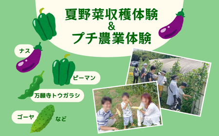 iXEs[}ȂǉĖ؎ňv`_Ƒ̌i1g5܂Łj q {̖؂̎ň H ň _Ƒ̌ ̌ n  q eq W[ ό _앨 ӂ邳Ɣ[  r