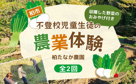 不登校児童生徒の農業体験(2回) [ 学び 食育 収穫体験 農業体験 体験 収穫 野菜 子供 親子 農作物 ふるさと納税 柏 ]