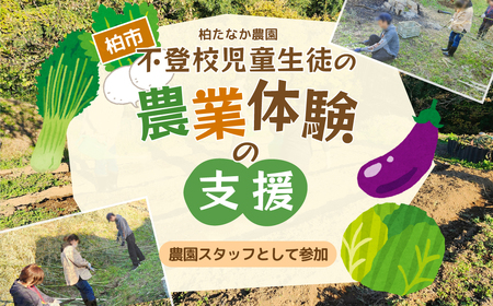 不登校児童生徒の農業体験の支援 (農園スタッフとして参加) [ サポート 学び 食育 収穫体験 農業体験 体験 収穫 野菜 子供 親子 農作物 ふるさと納税 柏 ]