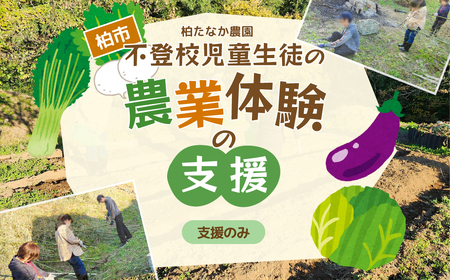 不登校児童生徒の農業体験の支援 (支援のみ) [ サポート 学び 食育 収穫体験 農業体験 体験 収穫 野菜 子供 親子 農作物 ふるさと納税 柏 ]