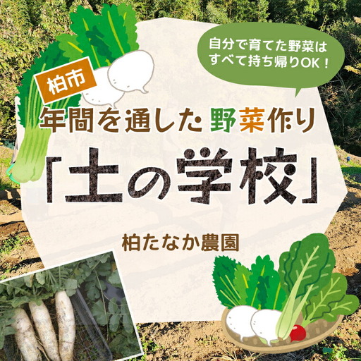 年間を通した野菜作り「土の学校」（1組5名まで） 〈 学び 食育 収穫 農業 野菜 子供 親子 農作物 ふるさと納税 柏 〉