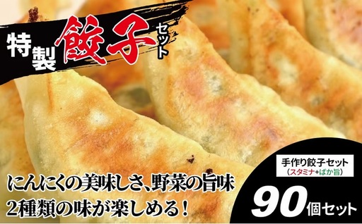 特製！手作り餃子セット（スタミナ餃子45個＋ばか旨餃子45個）〈餃子 冷凍餃子 セット 冷凍食品 人気 美味しい 老舗 有名店  手作り ギョーザ ぎょうざ 野菜 おかず 総菜 おつまみ 中華 大量〉
