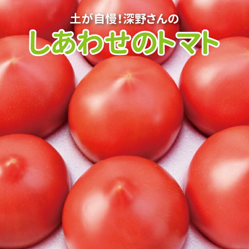 しあわせのトマト箱詰(小) [ 甘い 美味しい 野菜 ビタミンC 栄養 産地直送 国産 千葉県産 柏市産 おいしい プレゼント ギフト 取り寄せ おすすめ おススメ 大量 王様 ごほうび ]