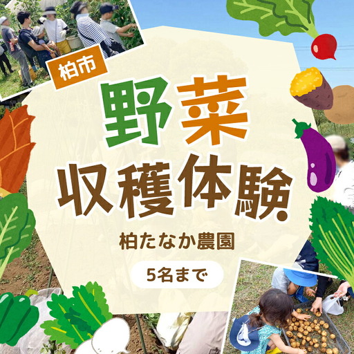 農産物収穫体験(1組5名まで) [ 旬の野菜の収穫体験 食育 収穫体験 農業体験 体験 収穫 野菜 子供 親子 レジャー 観光 農作物 ふるさと納税 柏 ]