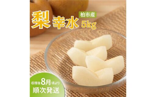 [オンライン決済限定]柏市産 梨(幸水) 5kg [先行予約 2026年8月順次発送]フルーツ 果物 なし 旬 国産 産地直送 千葉県産 新鮮 デザート [配達不可:沖縄、離島]