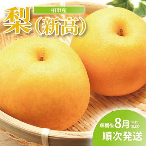 [オンライン決済限定]柏市産 梨(新高) 5kg [先行予約 2026年8月下旬順次発送] フルーツ 果物 なし 旬 国産 産地直送 千葉県産 新鮮 デザート [配達不可:沖縄、離島]