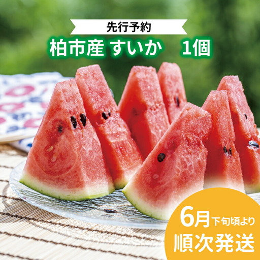 【オンライン決済限定】柏市産 スイカ 1個 〈先行予約 2026年6月下旬順次発送〉フルーツ 果物 1玉 旬 国産 産地直送 千葉県産 甘い おいしい 美味しい おすすめ 夏 デザート グルメ 予約 