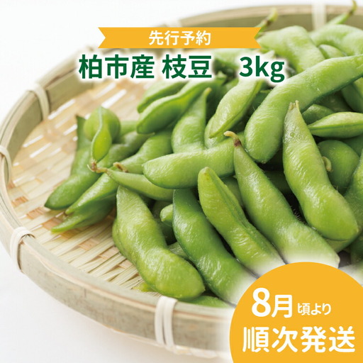 [オンライン決済限定]柏産 枝豆 3kg [先行予約 2026年8月順次発送]セット 野菜 国産 千葉県産 柏市産 予約 おいしい 新鮮 おつまみ 弁当 プレゼント 父の日 母の日 おすすめ 夏野菜 産地直送