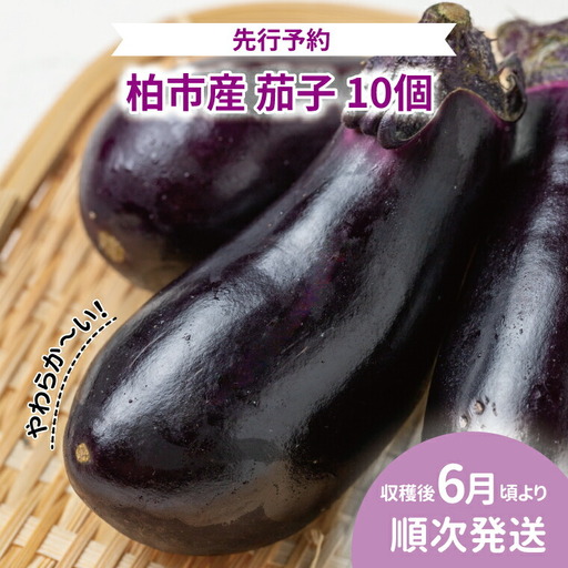 [オンライン決済限定]柏市産 やわらか茄子 10個 [先行予約 2026年6月順次発送] なす ナス 野菜 セット 国産 千葉県産 新鮮 旬 産地直送 おすすめ 夏野菜 煮物 揚げ物 浅漬け