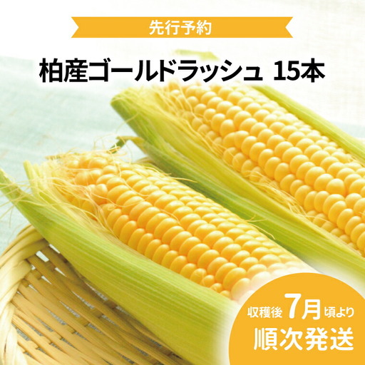 [オンライン決済限定]柏産ゴールドラッシュ(とうもろこし) 15本 [先行予約 2026年7月順次発送] 野菜 トウモロコシ コーン 国産 千葉県産 柏市産 プレゼント 贈り物 バーベキュー 産地直送