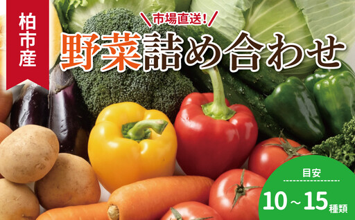 柏市場直送野菜詰め合わせセット [ 新鮮 旬 野菜セット 国産 千葉県産 柏市産 おいしい おまかせ 一人暮らし 父の日 母の日 プレゼント 贈り物 お取り寄せ 取り寄せ おすすめ おススメ 大量 産地直送 ]