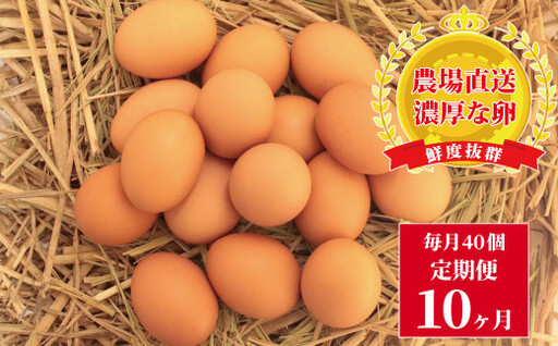 たまごのお店 むこたま[農場たまご]Mサイズ 40個入 定期便10ヶ月