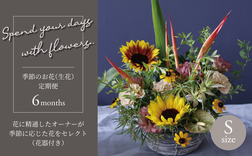 [毎月お届け]季節のお花(生花・花器付き)の定期便・Sサイズ 6か月 [ フラワーアレンジメント 花 定期便 記念日 誕生日 お祝い ギフト プレゼント インテリア 自宅用 全国発送 送料無料 冷蔵 そのまま飾れる かわいい ※お届け日指定不可 ]