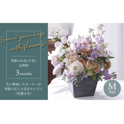 【毎月お届け】季節のお花（生花・花器付き）の定期便・Mサイズ　3か月 〈 フラワーアレンジメント 花 定期便 記念日 誕生日 お祝い ギフト プレゼント インテリア 自宅用 全国発送 送料無料 冷蔵 そのまま飾れる かわいい ※お届け日指定不可 〉