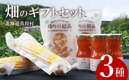 [2026年12月以降発送] 旬の野菜ギフトセット | 野菜セット [BPAD003]