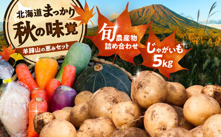 [2026年11月下旬以降発送] 秋の味覚セット(小)(じゃがいも5kg・旬の農産物詰め合わせ) | 野菜セット 野菜 詰合せ じゃがいも 季節の野菜 | 道の駅 真狩フラワーセンター[BPAM001]