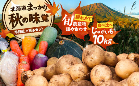 [2026年11月下旬以降発送] 秋の味覚セット(大)(じゃがいも10kg・旬の農産物詰め合わせ) | 野菜セット 野菜 じゃがいも 詰め合わせ 旬の野菜 セット 食べ比べ 北海道 | 道の駅 真狩フラワーセンター[BPAM004]