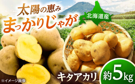 【2026年10月中旬以降順次発送】 じゃがいも キタアカリ（まっかりじゃが）5kg | じゃがいも ジャガイモ キタアカリ 野菜 北海道 産地直送 | 道の駅 真狩フラワーセンター[BPAM015]