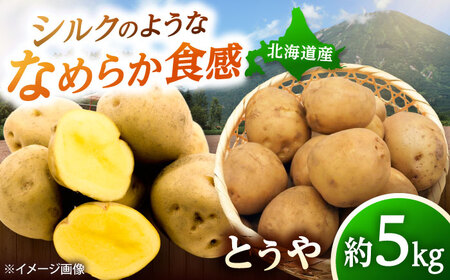 [2026年10月上旬以降順次発送]じゃがいも とうや 5kg | じゃがいも とうや 野菜 やさい 北海道 産地直送 | 道の駅 真狩フラワーセンター[BPAM017]