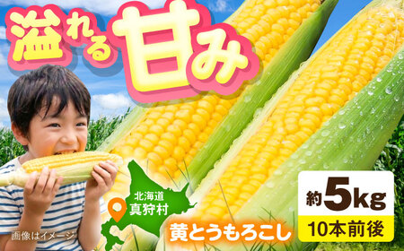[2026年8月下旬以降順次発送] とうもろこし(黄)5kg | とうもろこし とうきび トウモロコシ コーン 野菜 やさい 北海道 産地直送 | 道の駅 真狩フラワーセンター[BPAM020]